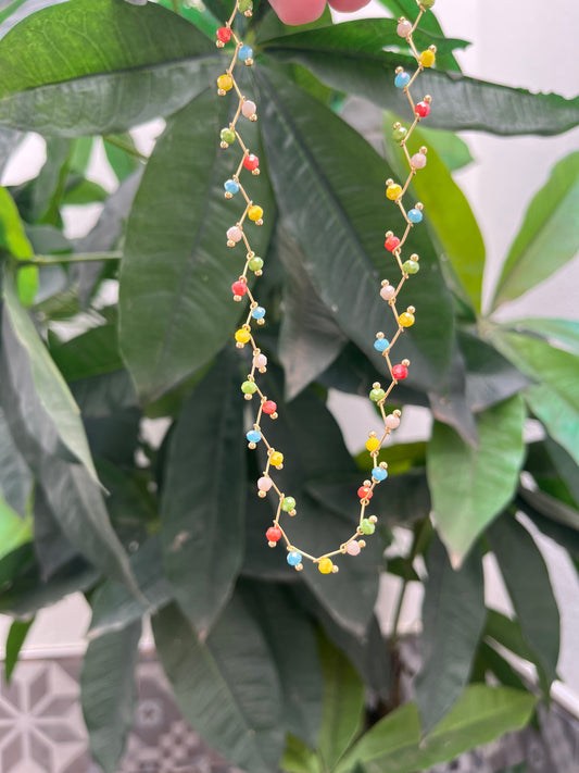 Collar Rainbow