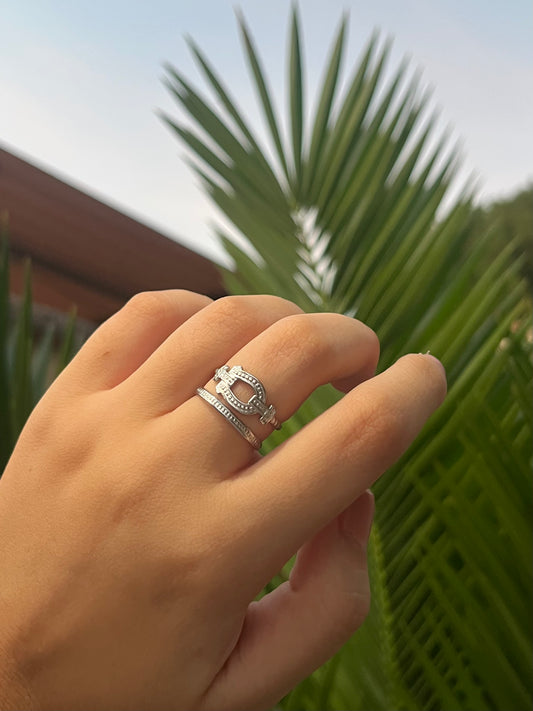 Anillo Camp
